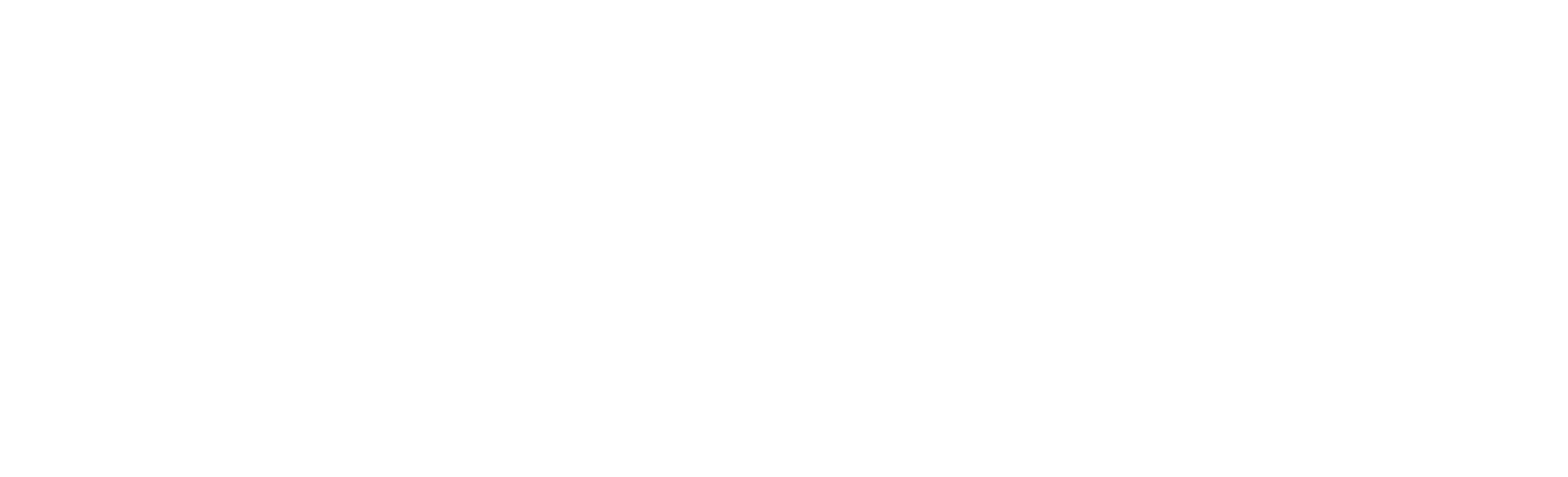 Bortins Construction Contacting LLC